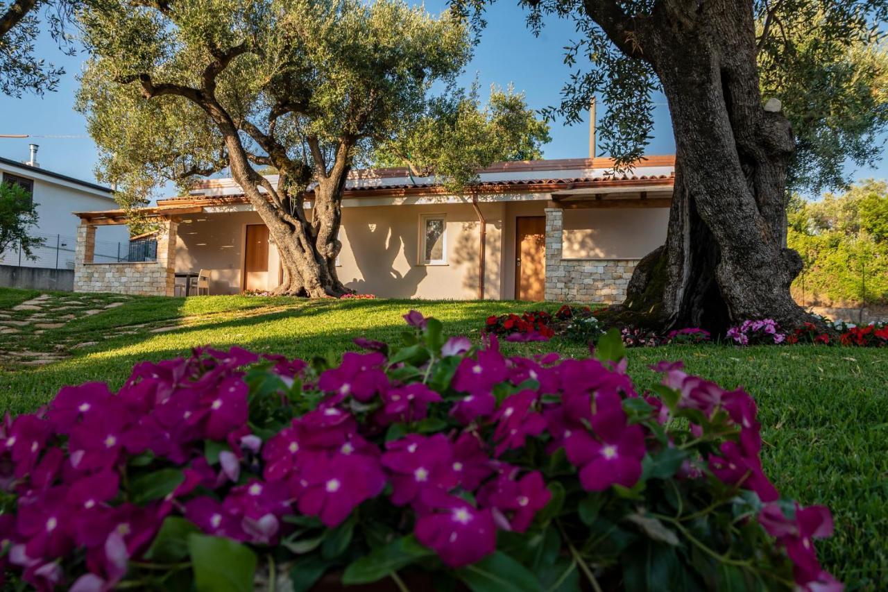 Il Mirto Residence Marina di Camerota Buitenkant foto